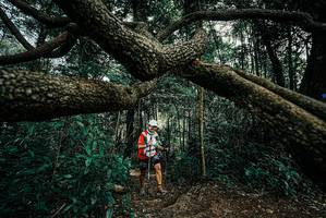 BIB: 
                            <button type="button" onclick="openModal(25705231)" class="btn btn-primary btn-sm float-right btn-popup" data-toggle="modal" data-target=".modal-high-quality">
                        <i class="fas fa-shopping-cart"></i> Add to Cart
                    </button>
                                            <button type="button" onclick="isThisMe(25705231, true)" class="btn btn-success btn-sm float-right btn-popup btn-isme hidden" data-toggle="tooltip" data-placement="bottom" title="นี่คือรูปของคุณใช่ไหม คลิกที่นี่เพื่อเอาเข้าอัลบั้ม">
                        <i class="fas fa-plus"></i> Add to album
                    </button>
                    <button type="button" onclick="isThisMe(25705231, false)" class="btn btn-warning btn-sm float-right btn-popup btn-isnotme hidden">
                        <i class="fas fa-ban"></i> Remove from album
                    </button>